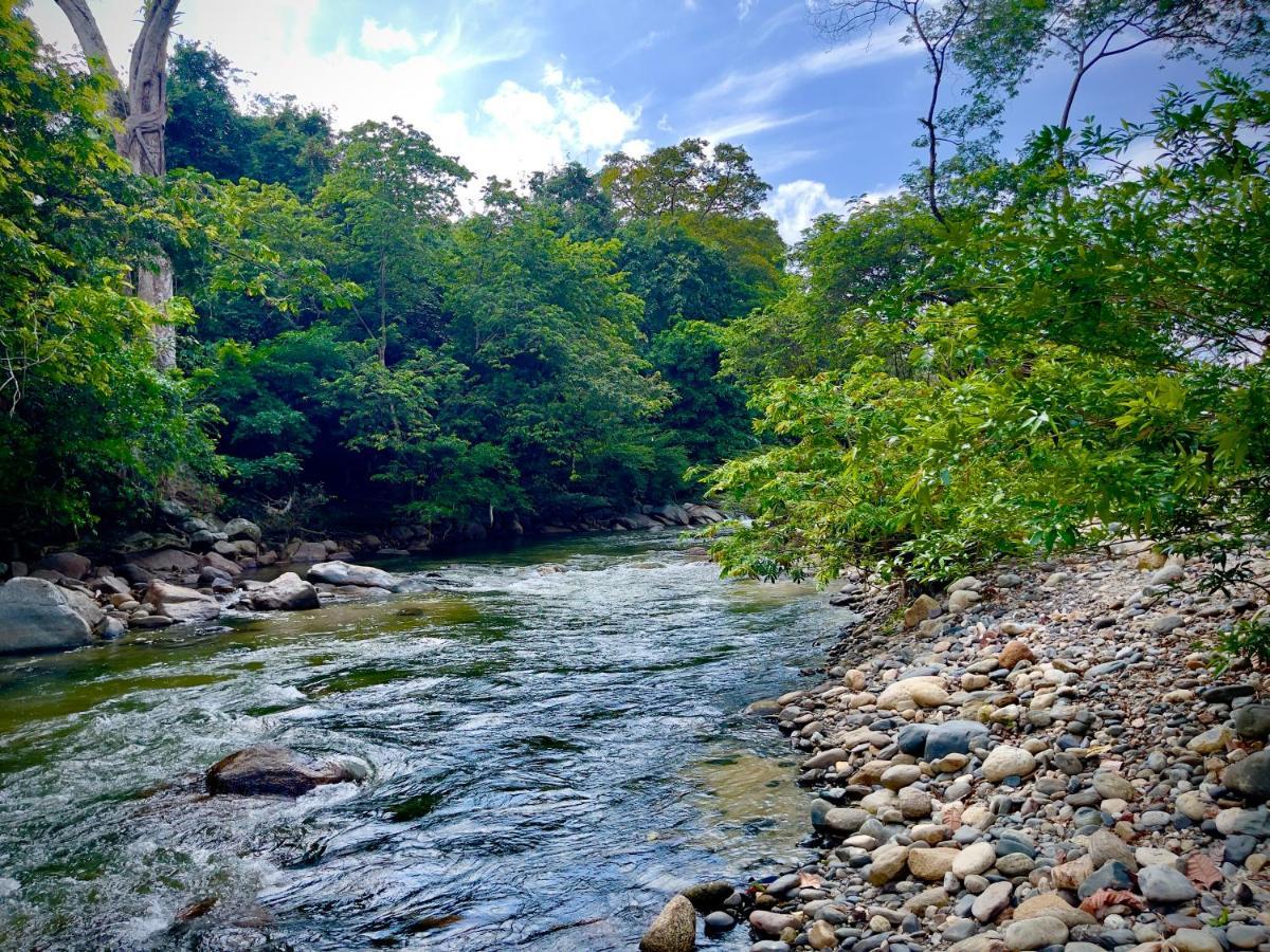 Tayrona Suites El Zaino Eksteriør bilde