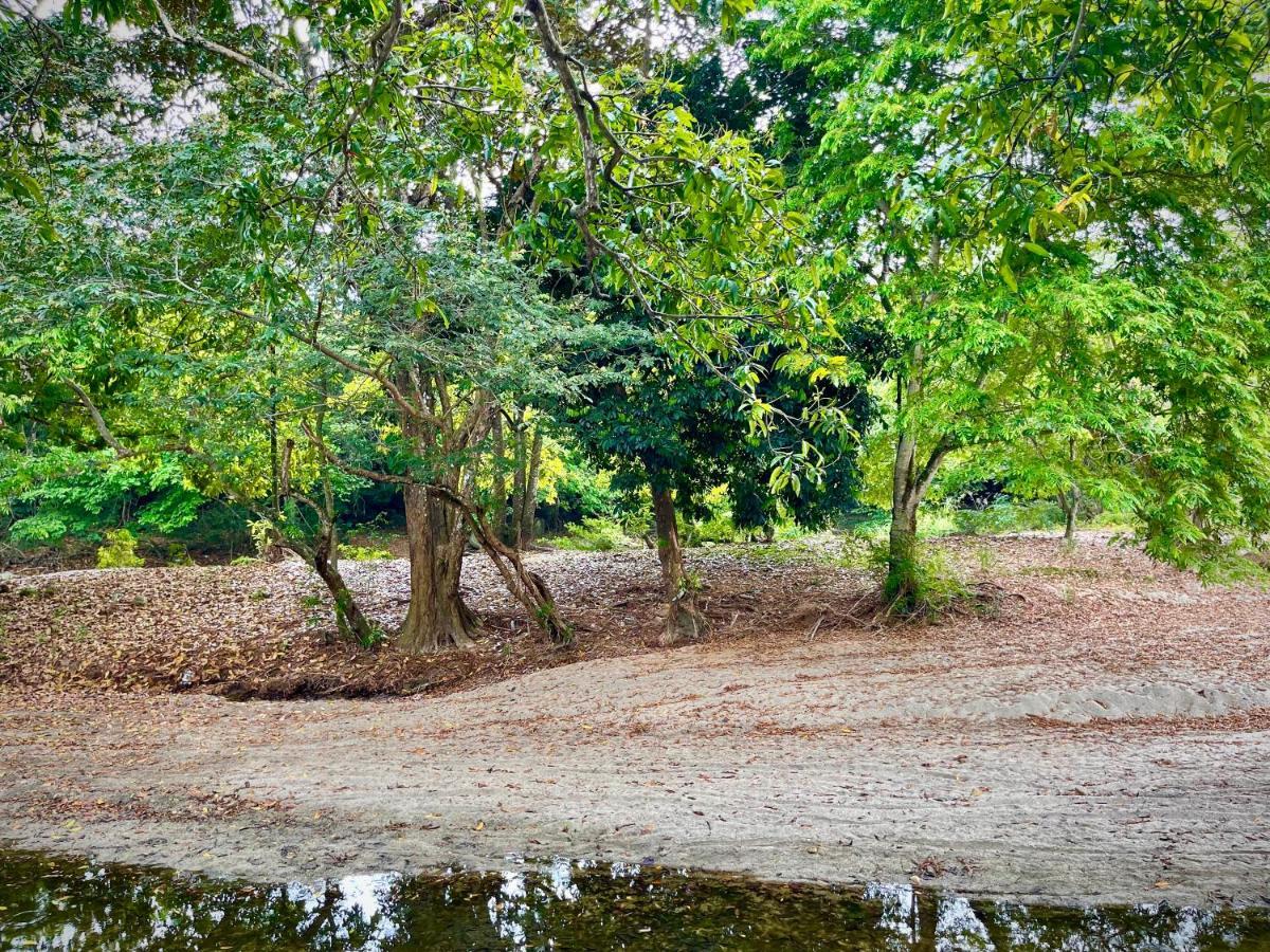 Tayrona Suites El Zaino Eksteriør bilde